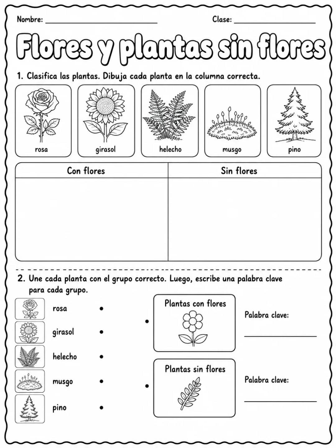 3.º grado - plantas - Paquete de fichas - Conjunto 4 vista previa imprimible de ciencias en KiwiBee