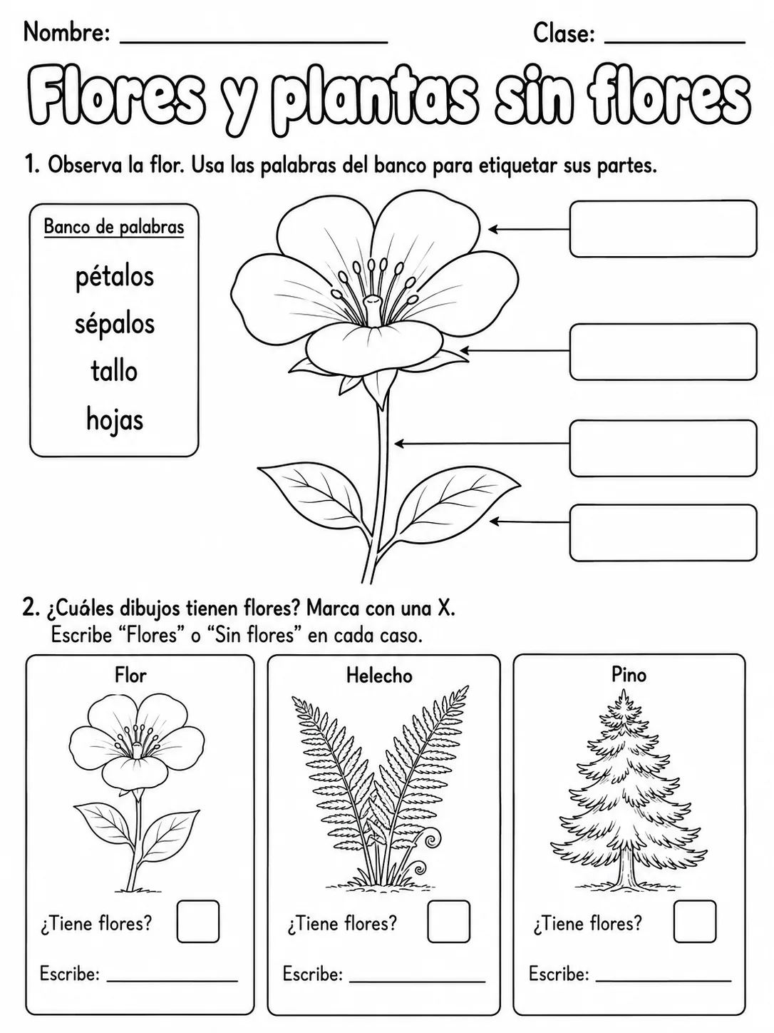 3.º grado - plantas - Paquete de fichas - Conjunto 4 página 2 vista previa imprimible