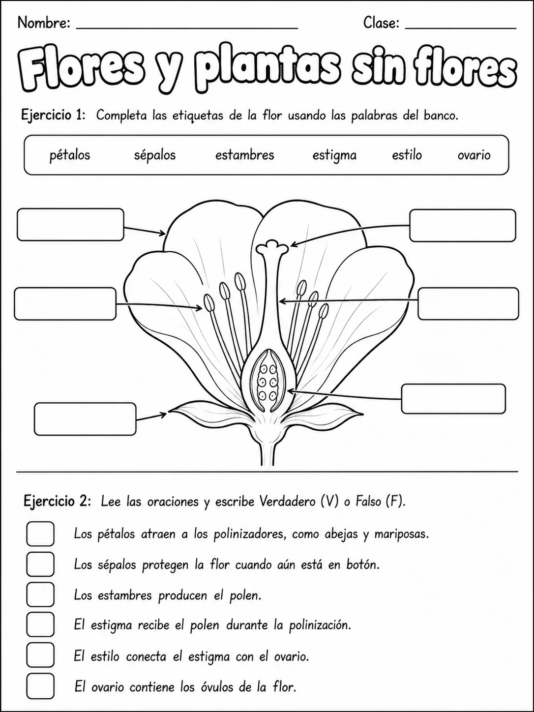 3.º grado - plantas - Paquete de fichas - Conjunto 4 página 3 vista previa imprimible