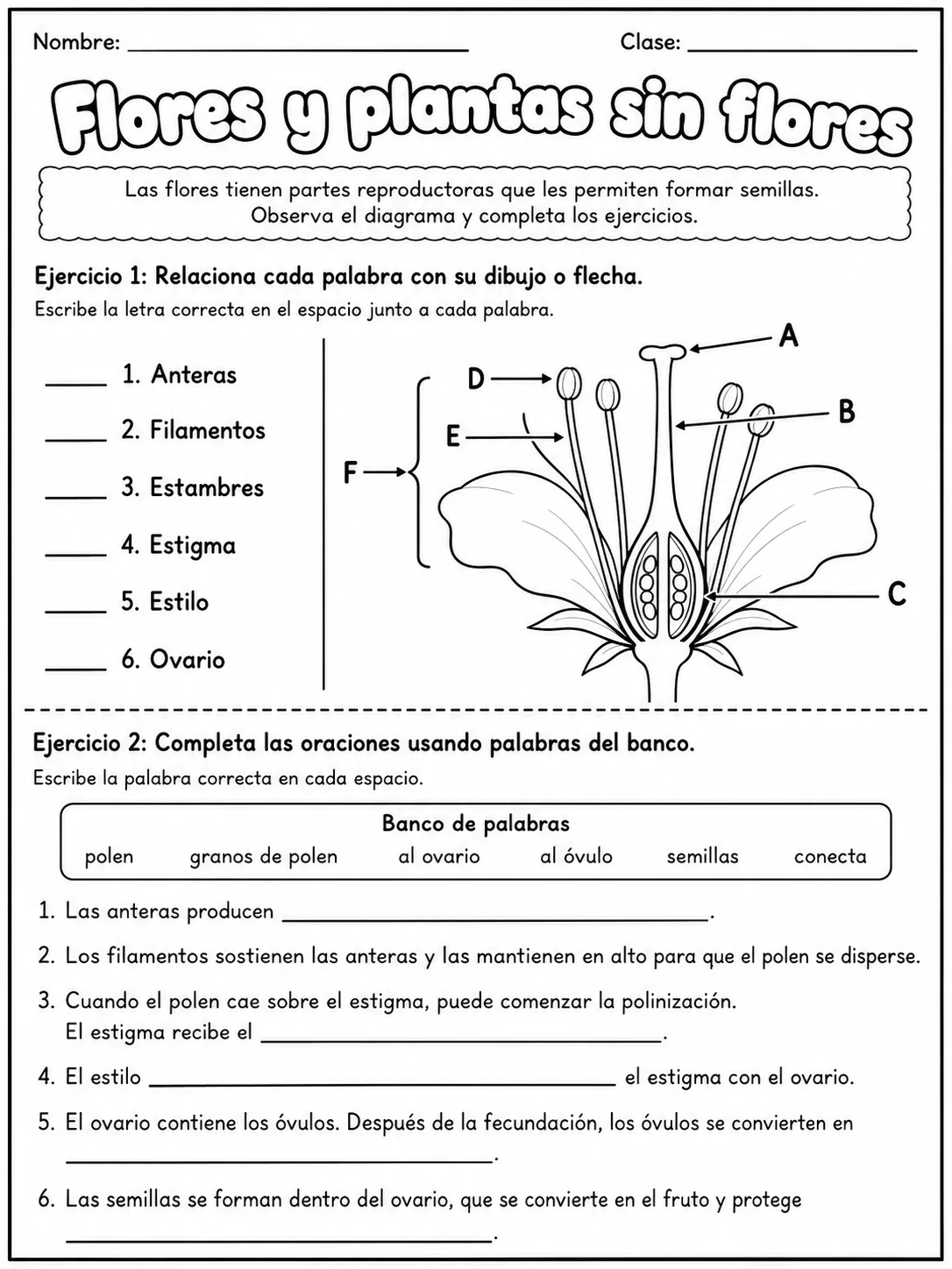 3.º grado - plantas - Paquete de fichas - Conjunto 4 página 4 vista previa imprimible