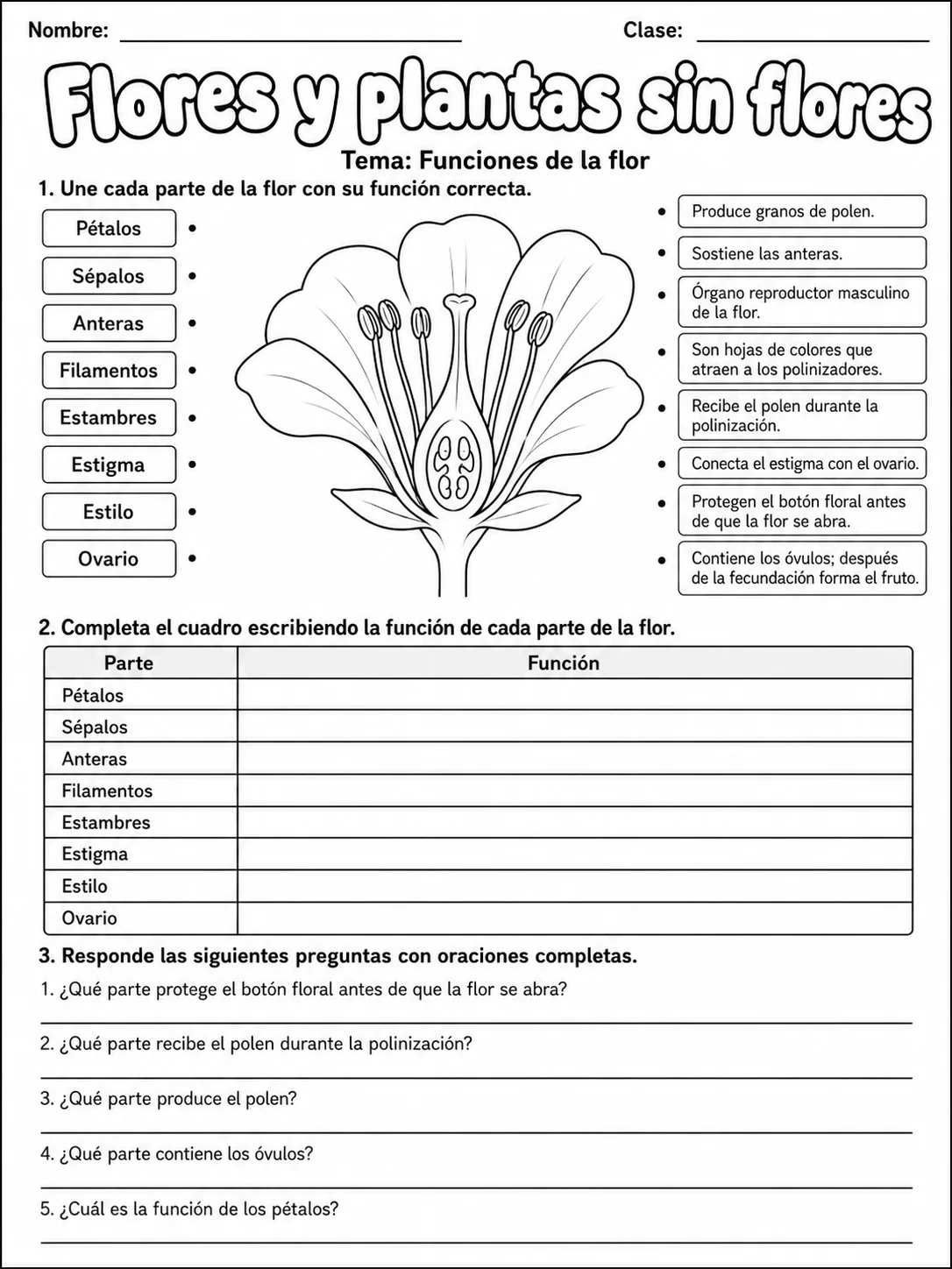 3.º grado - plantas - Paquete de fichas - Conjunto 4 página 5 vista previa imprimible
