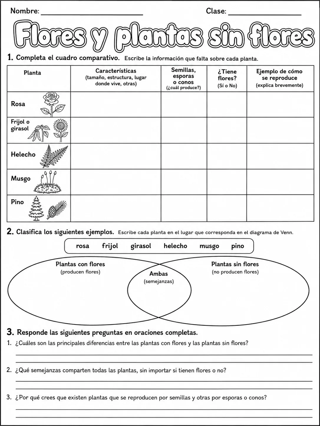 3.º grado - plantas - Paquete de fichas - Conjunto 4 página 6 vista previa imprimible