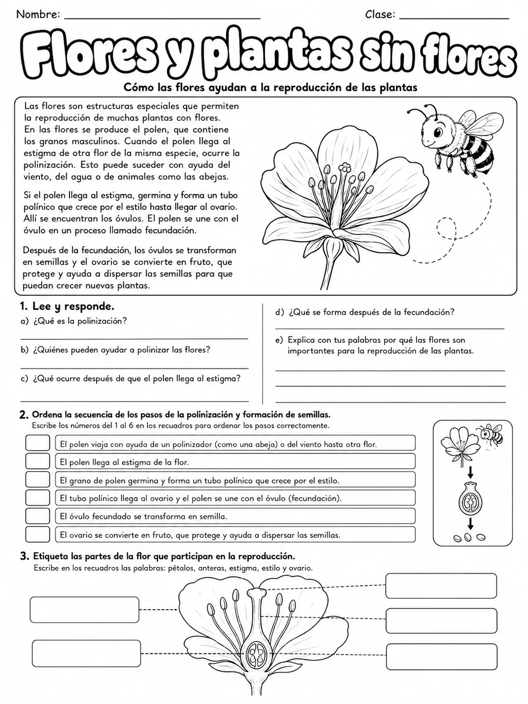 3.º grado - plantas - Paquete de fichas - Conjunto 4 página 7 vista previa imprimible