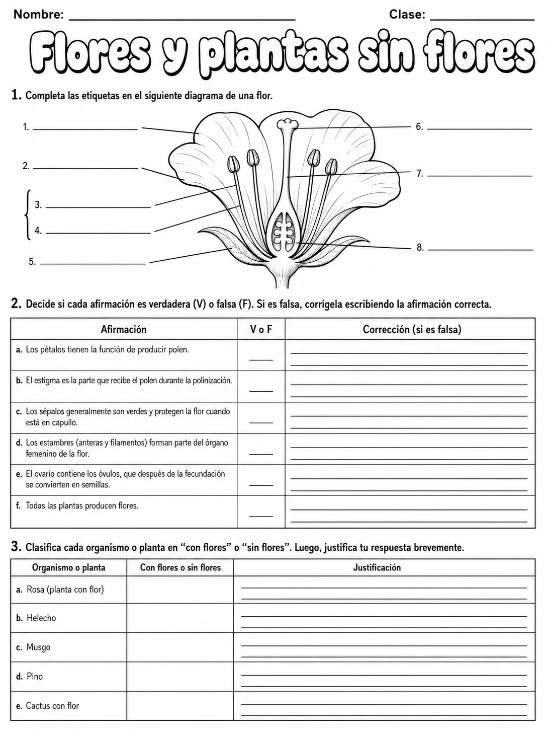 3.º grado - plantas - Paquete de fichas - Conjunto 4 página 8 vista previa imprimible