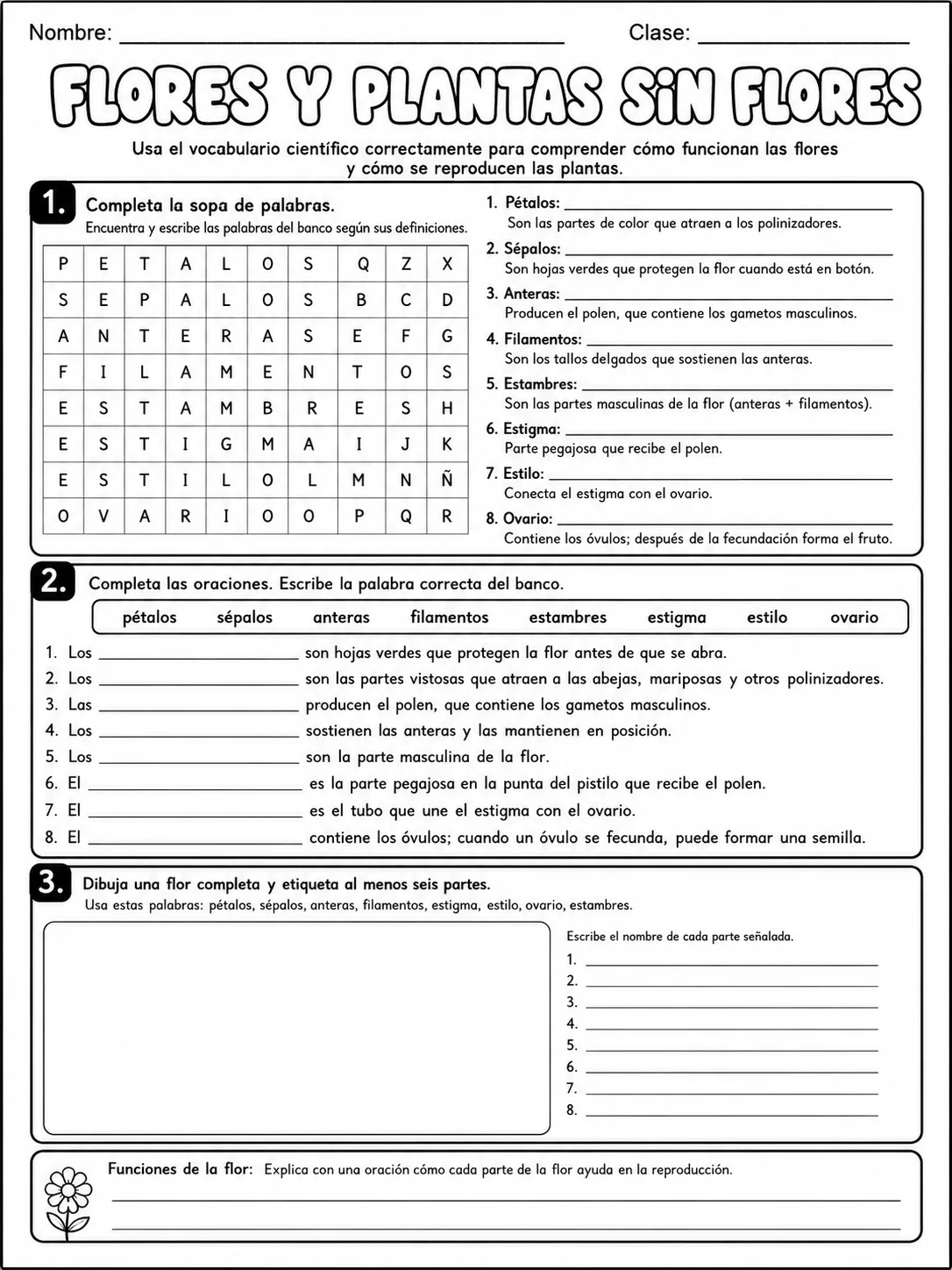 3.º grado - plantas - Paquete de fichas - Conjunto 4 página 9 vista previa imprimible