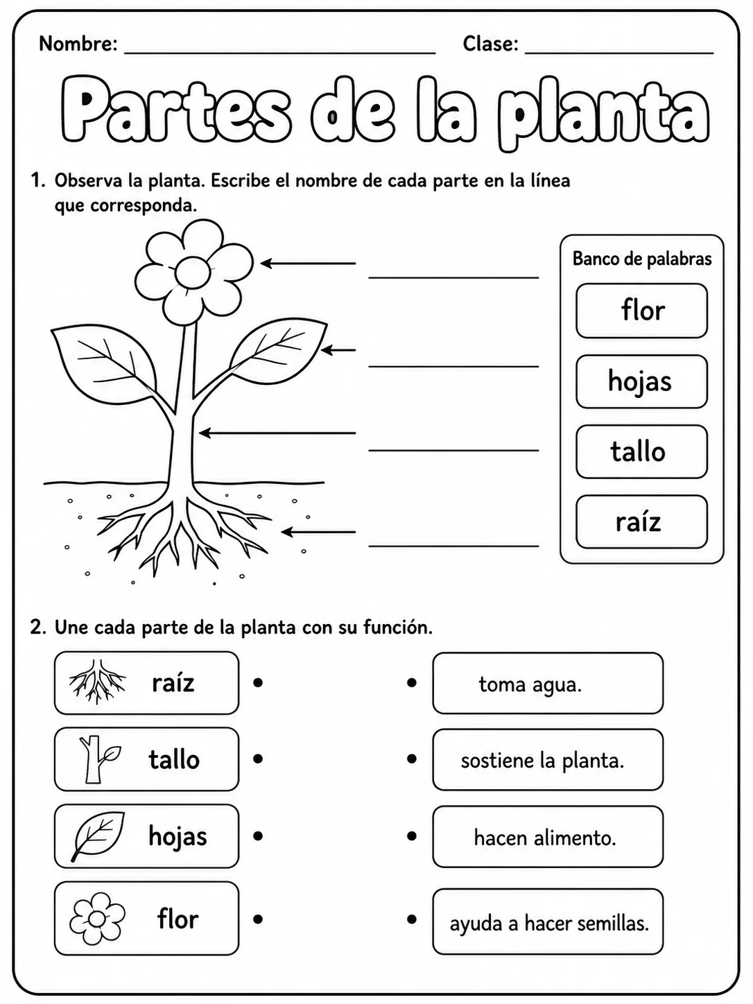 3.º grado - plantas - Paquete de fichas - Conjunto 5 vista previa imprimible de ciencias en KiwiBee