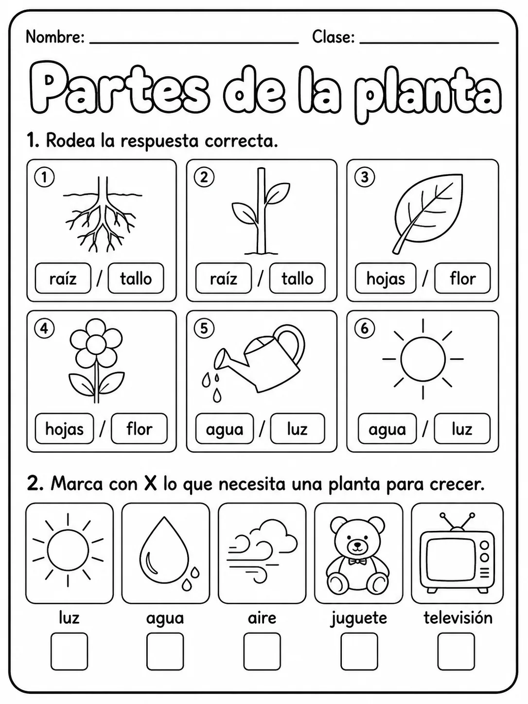 3.º grado - plantas - Paquete de fichas - Conjunto 5 página 2 vista previa imprimible