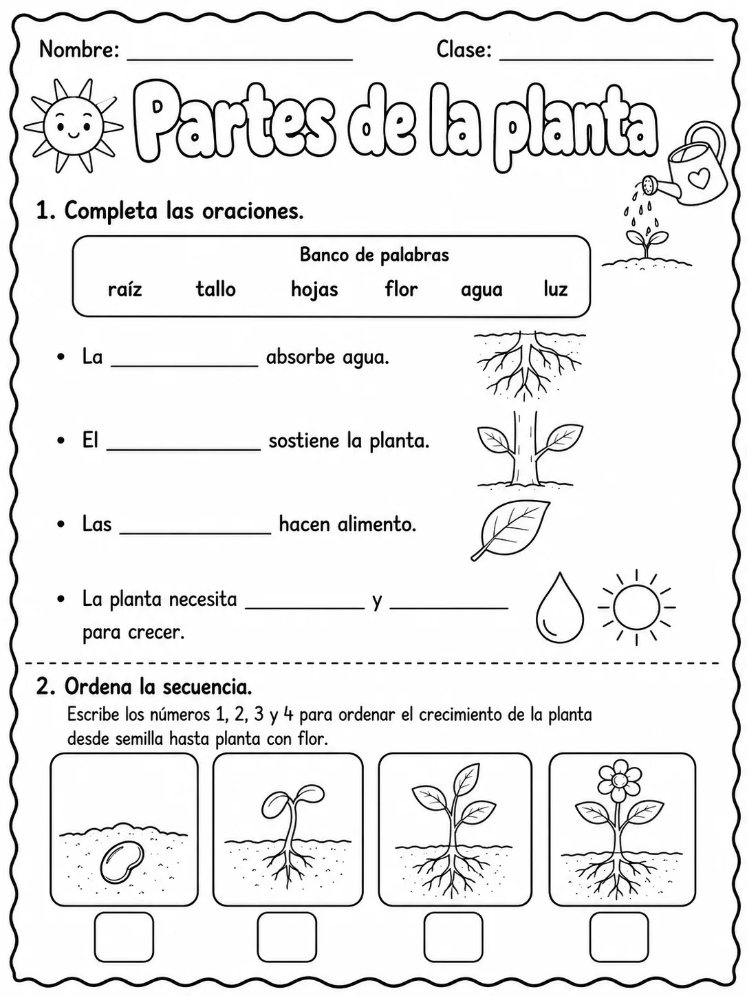 3.º grado - plantas - Paquete de fichas - Conjunto 5 página 3 vista previa imprimible