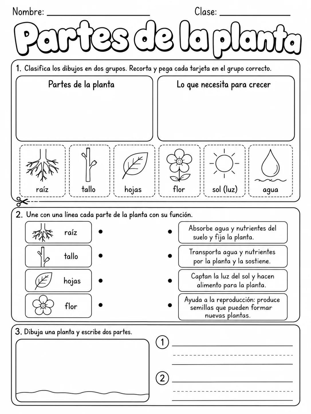 3.º grado - plantas - Paquete de fichas - Conjunto 5 página 4 vista previa imprimible