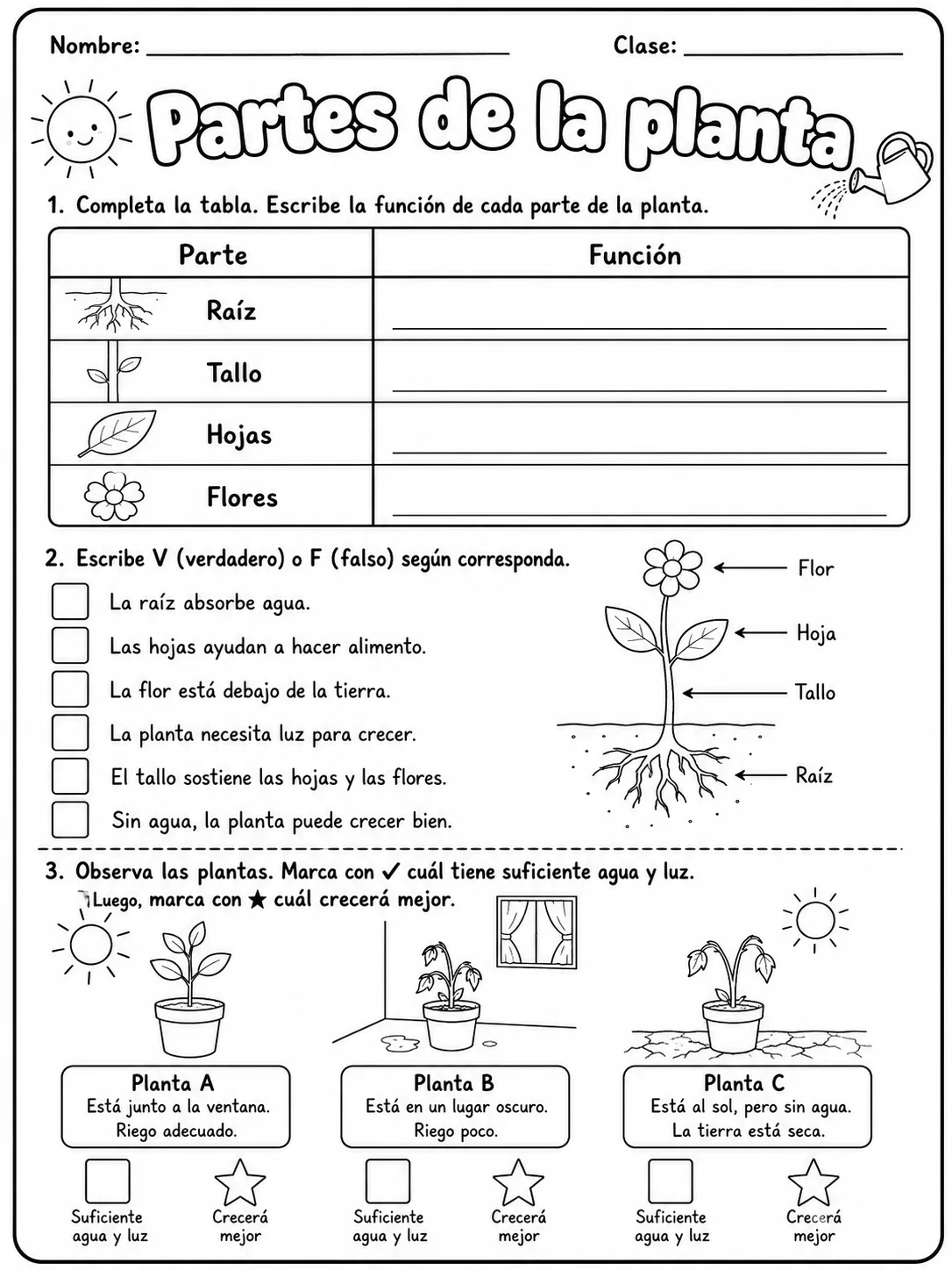 3.º grado - plantas - Paquete de fichas - Conjunto 5 página 5 vista previa imprimible