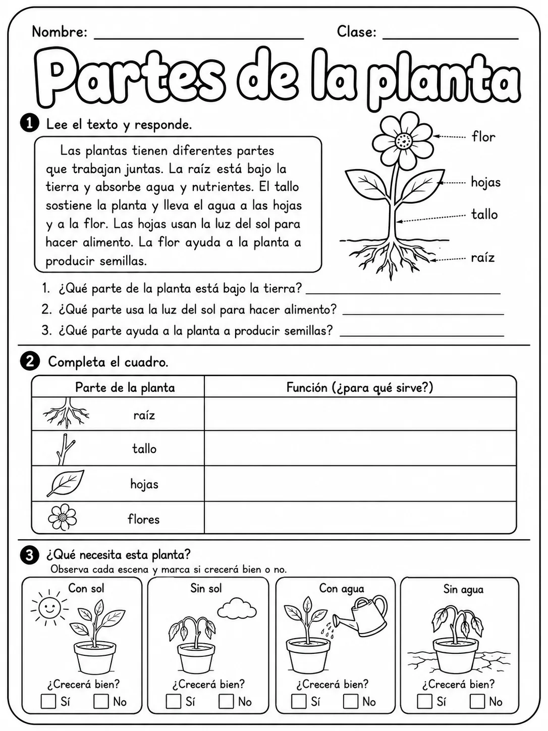 3.º grado - plantas - Paquete de fichas - Conjunto 5 página 6 vista previa imprimible