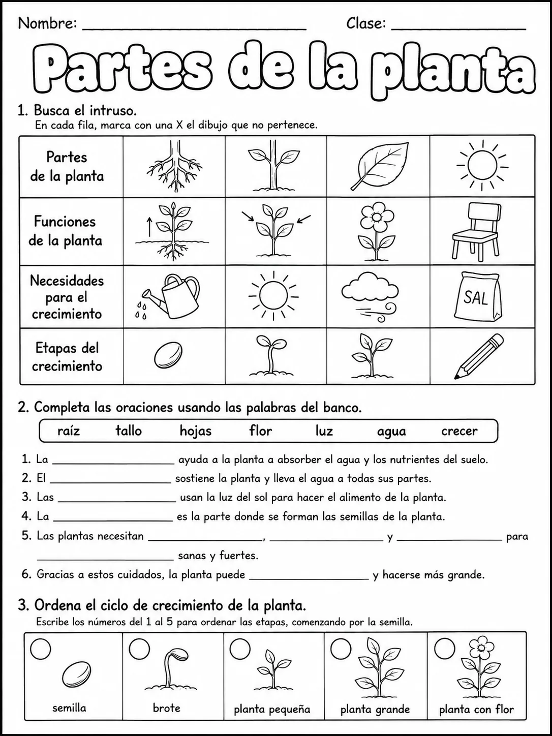 3.º grado - plantas - Paquete de fichas - Conjunto 5 página 7 vista previa imprimible