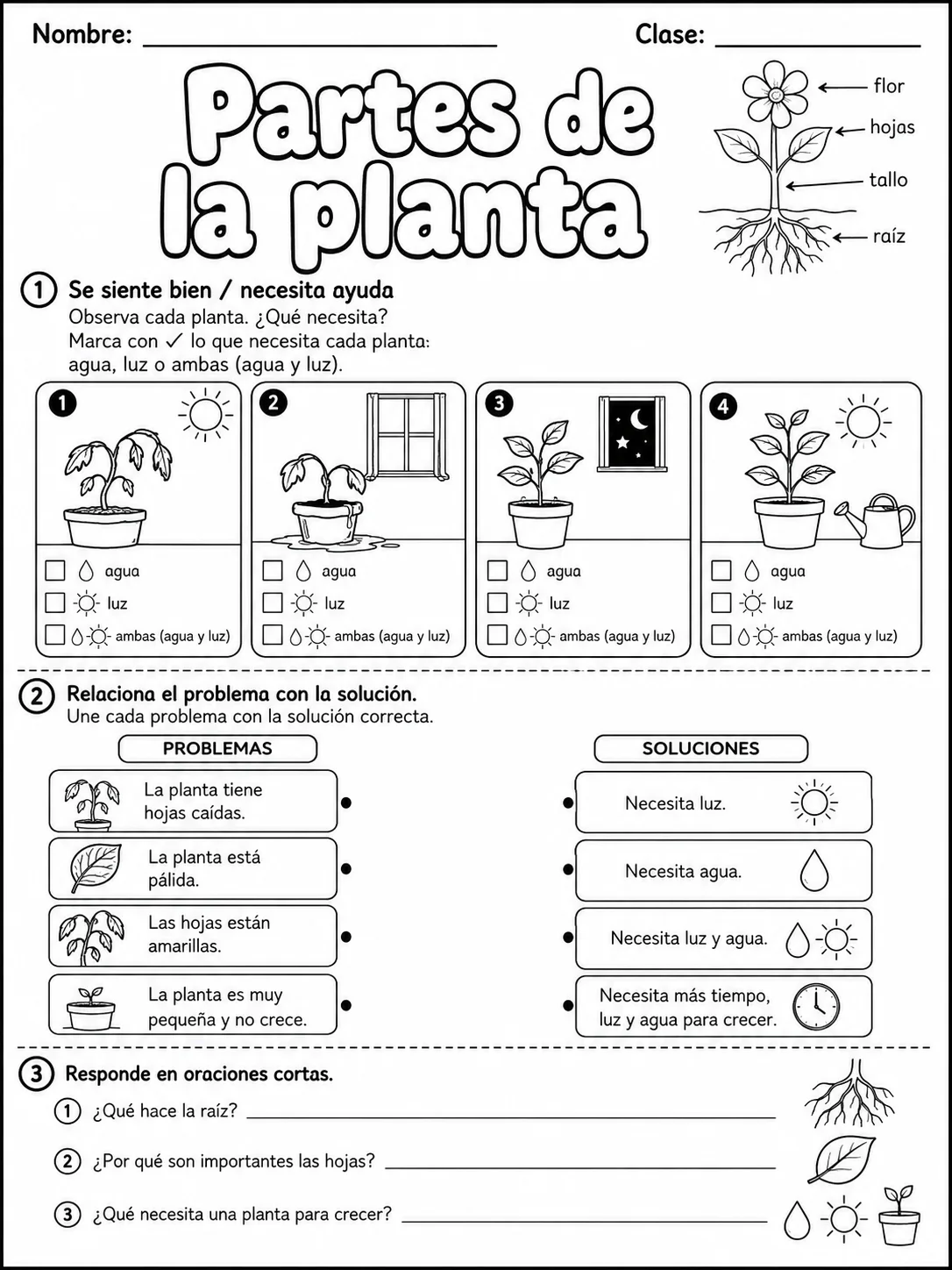 3.º grado - plantas - Paquete de fichas - Conjunto 5 página 8 vista previa imprimible