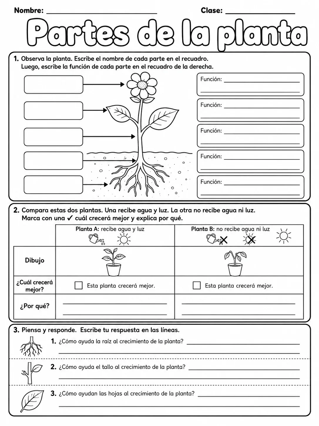 3.º grado - plantas - Paquete de fichas - Conjunto 5 página 9 vista previa imprimible