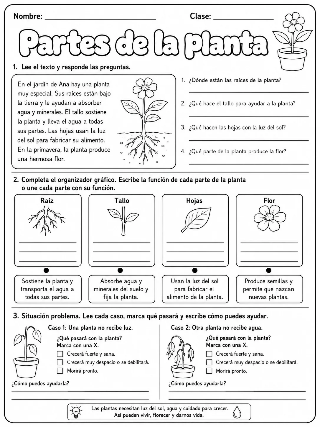 3.º grado - plantas - Paquete de fichas - Conjunto 5 página 10 vista previa imprimible
