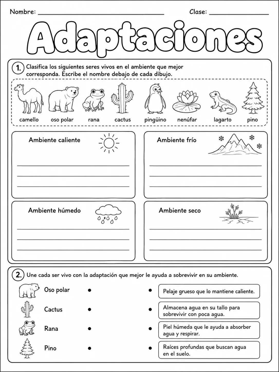 3.º grado - plantas - Paquete de fichas - Conjunto 6 vista previa imprimible de ciencias en KiwiBee