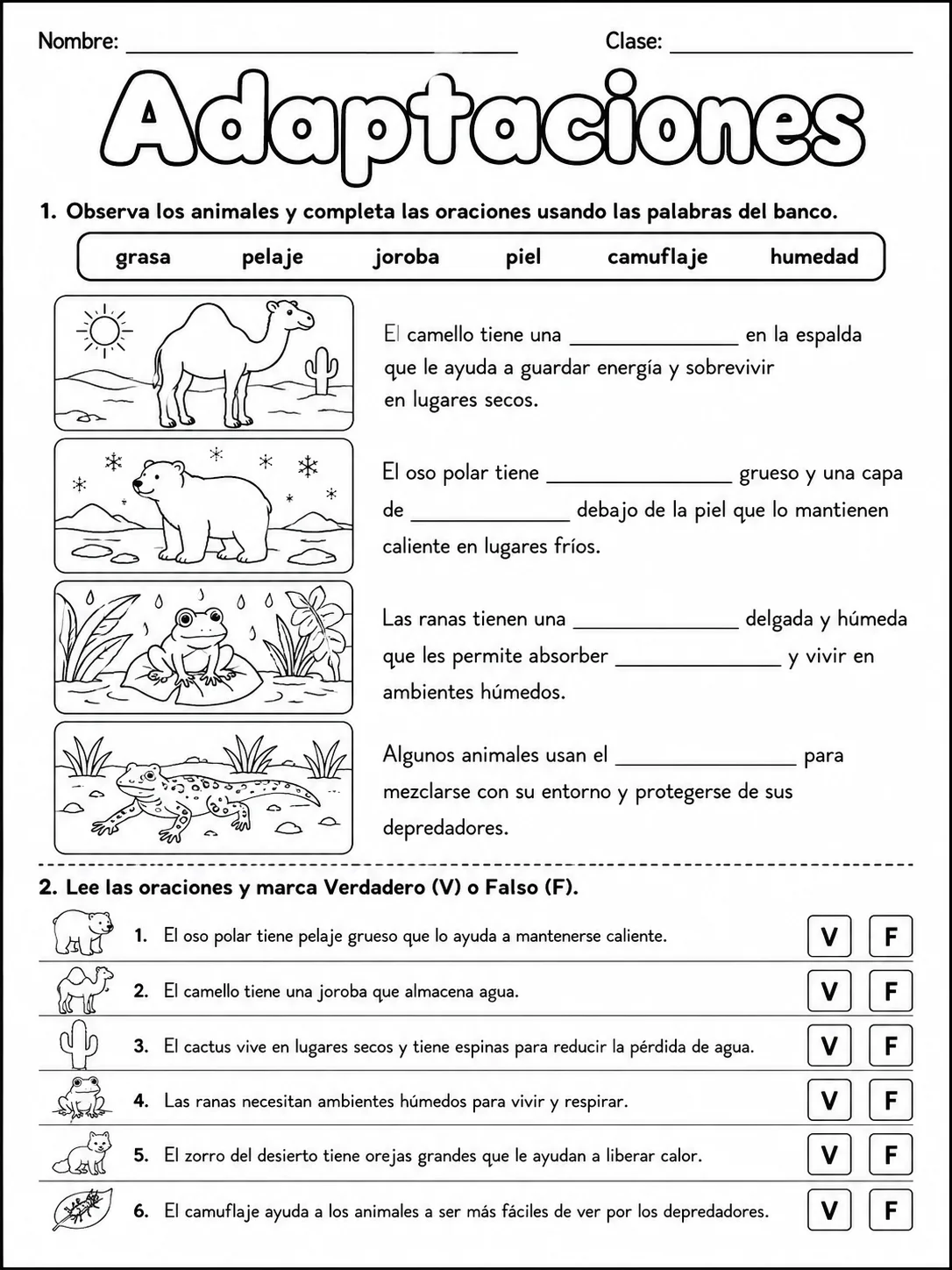 3.º grado - plantas - Paquete de fichas - Conjunto 6 página 2 vista previa imprimible