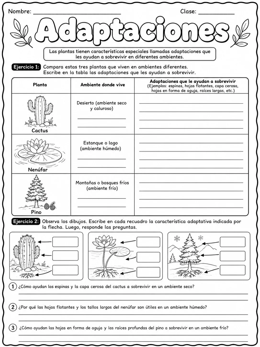 3.º grado - plantas - Paquete de fichas - Conjunto 6 página 3 vista previa imprimible
