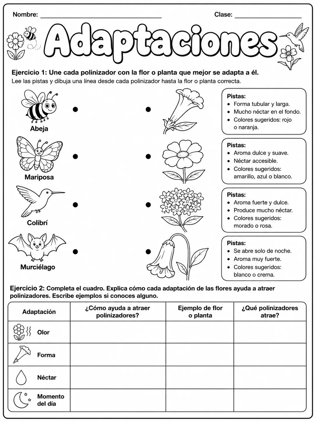 3.º grado - plantas - Paquete de fichas - Conjunto 6 página 4 vista previa imprimible