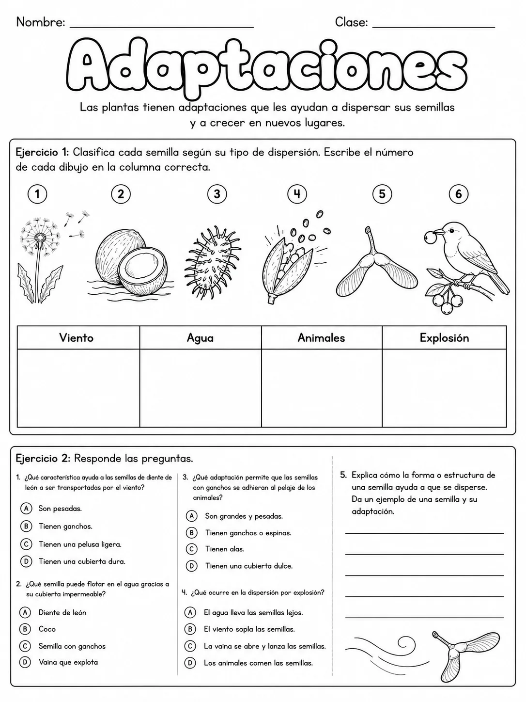 3.º grado - plantas - Paquete de fichas - Conjunto 6 página 5 vista previa imprimible