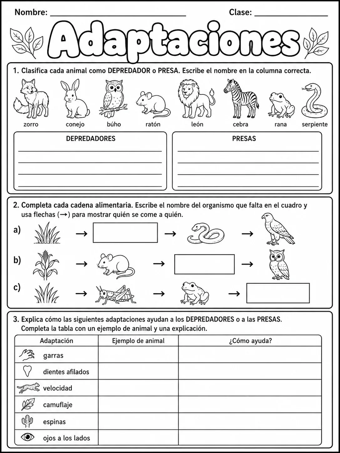 3.º grado - plantas - Paquete de fichas - Conjunto 6 página 6 vista previa imprimible