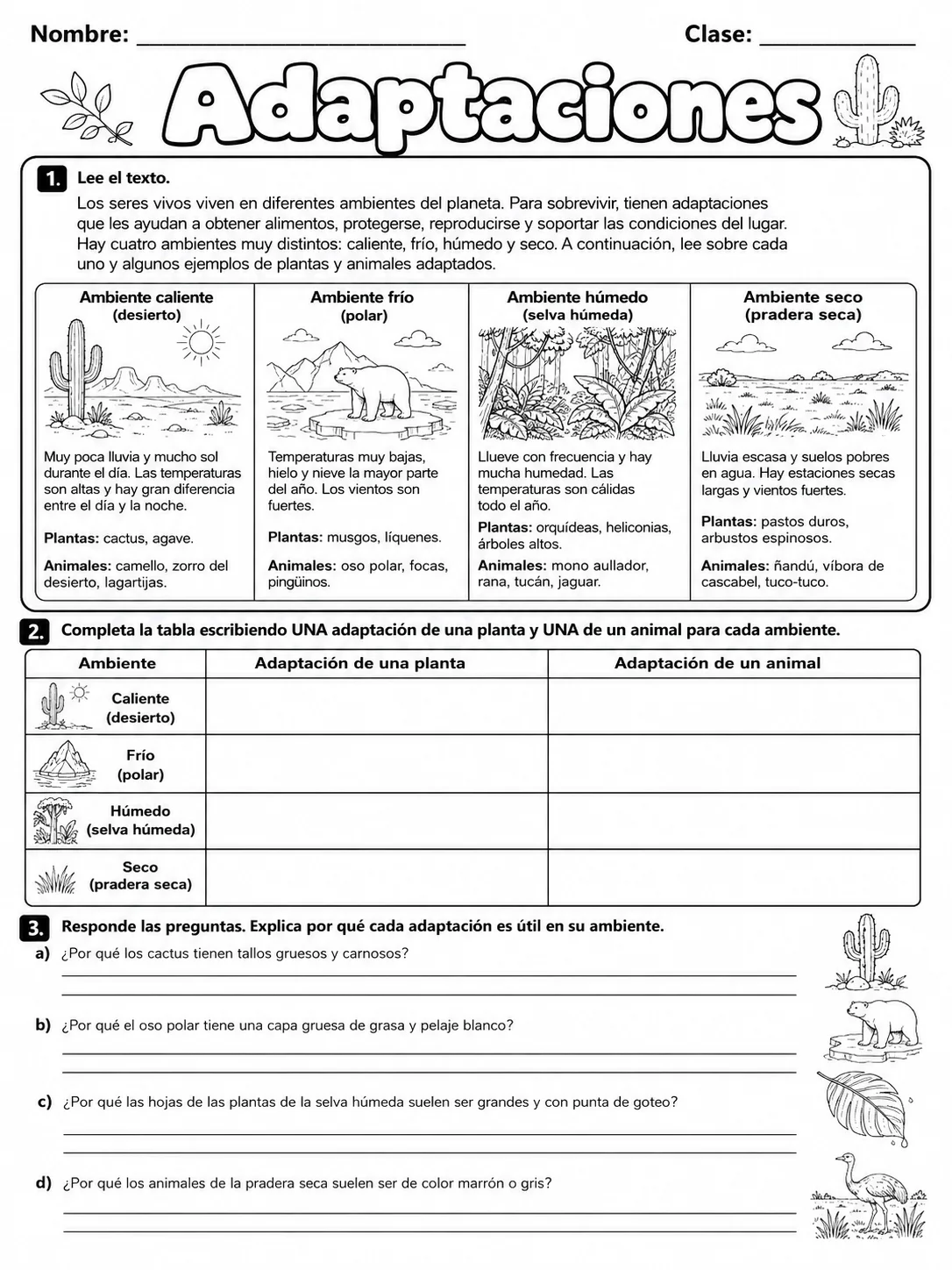 3.º grado - plantas - Paquete de fichas - Conjunto 6 página 7 vista previa imprimible
