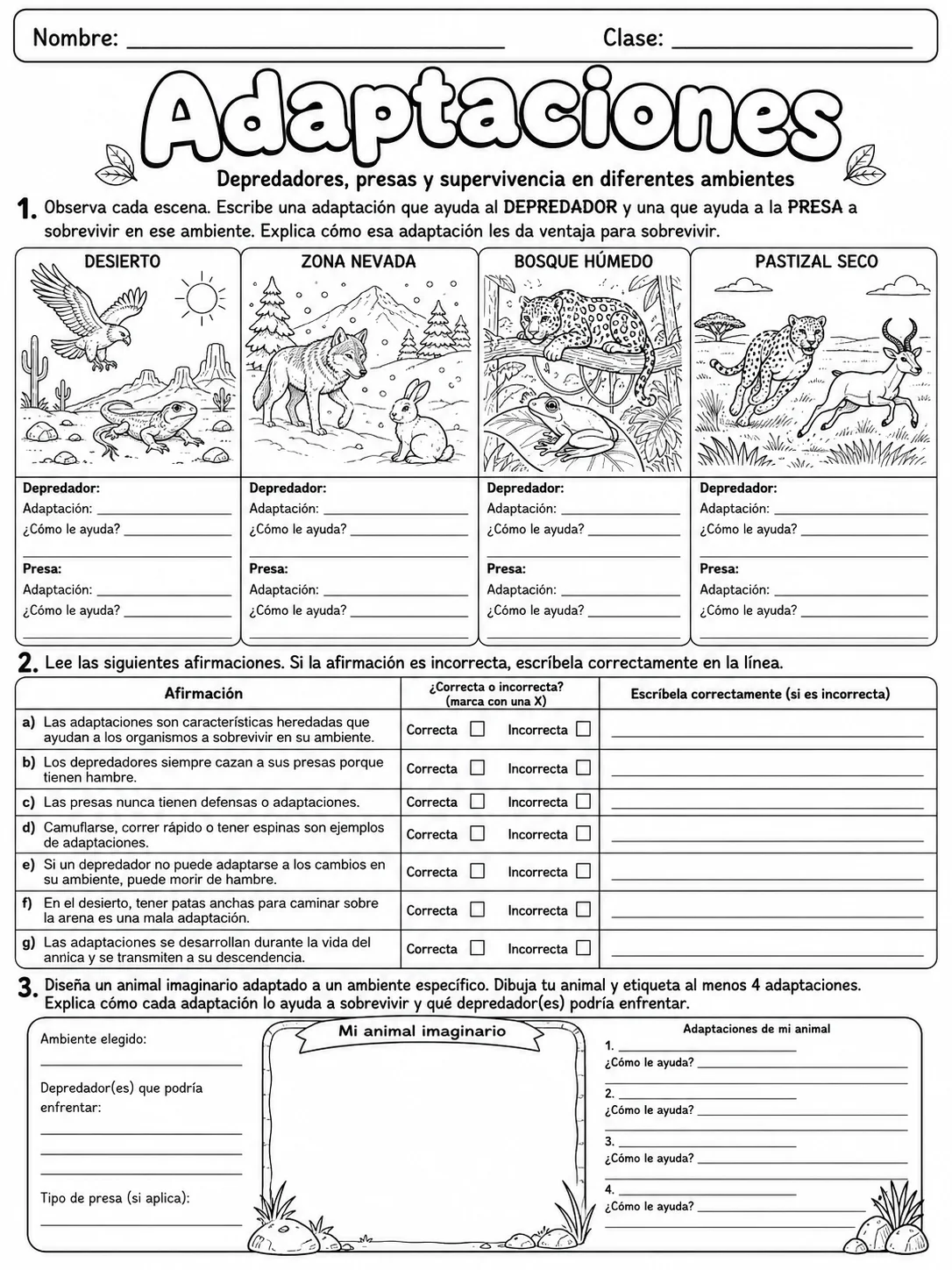 3.º grado - plantas - Paquete de fichas - Conjunto 6 página 9 vista previa imprimible