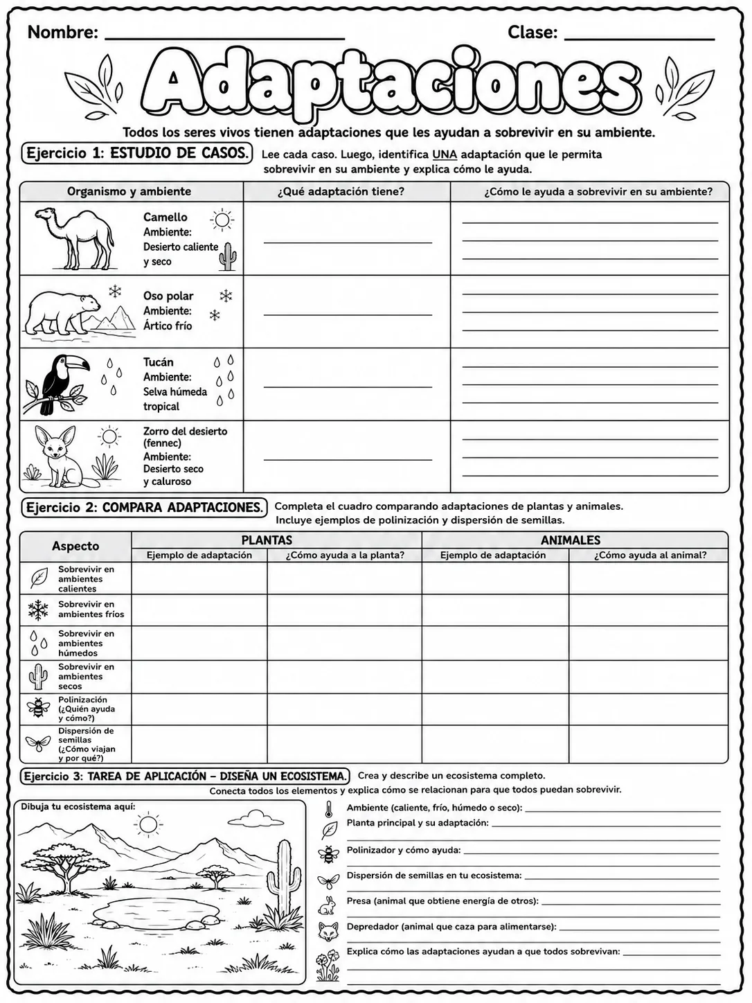 3.º grado - plantas - Paquete de fichas - Conjunto 6 página 10 vista previa imprimible