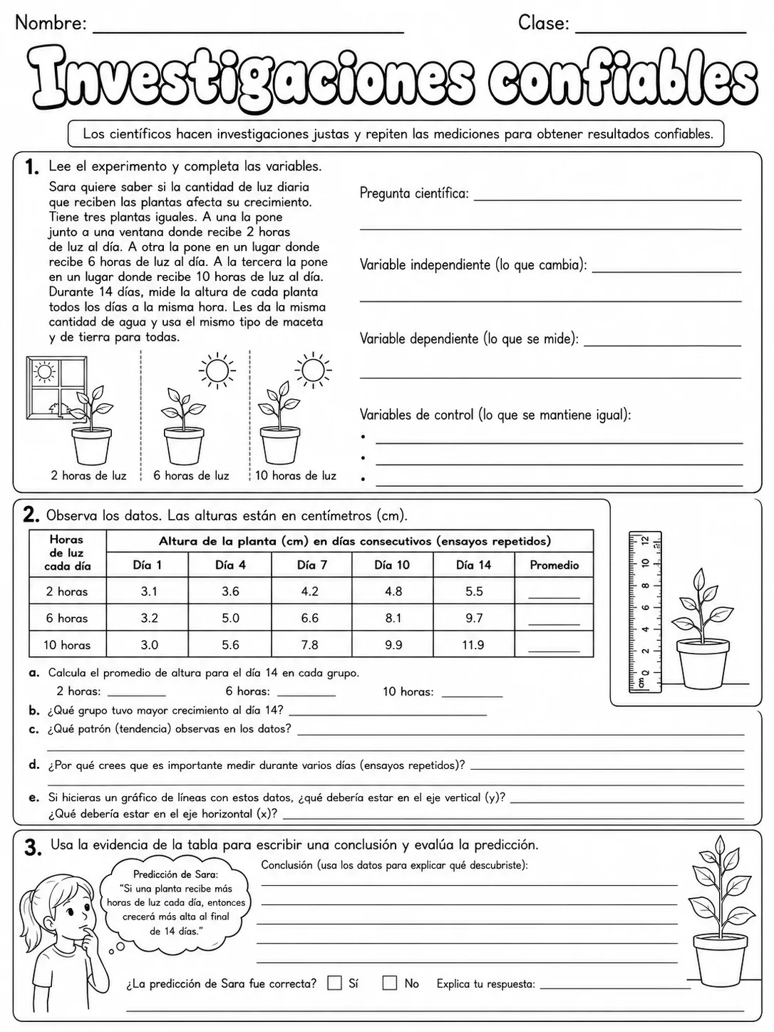 3.º grado - plantas - Paquete de fichas página 6 vista previa imprimible