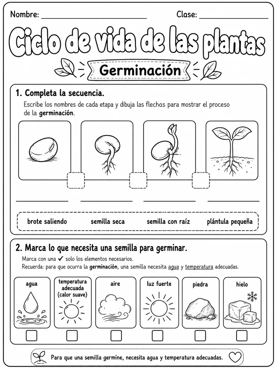 5.º grado - plantas - Paquete de fichas página 2 vista previa imprimible