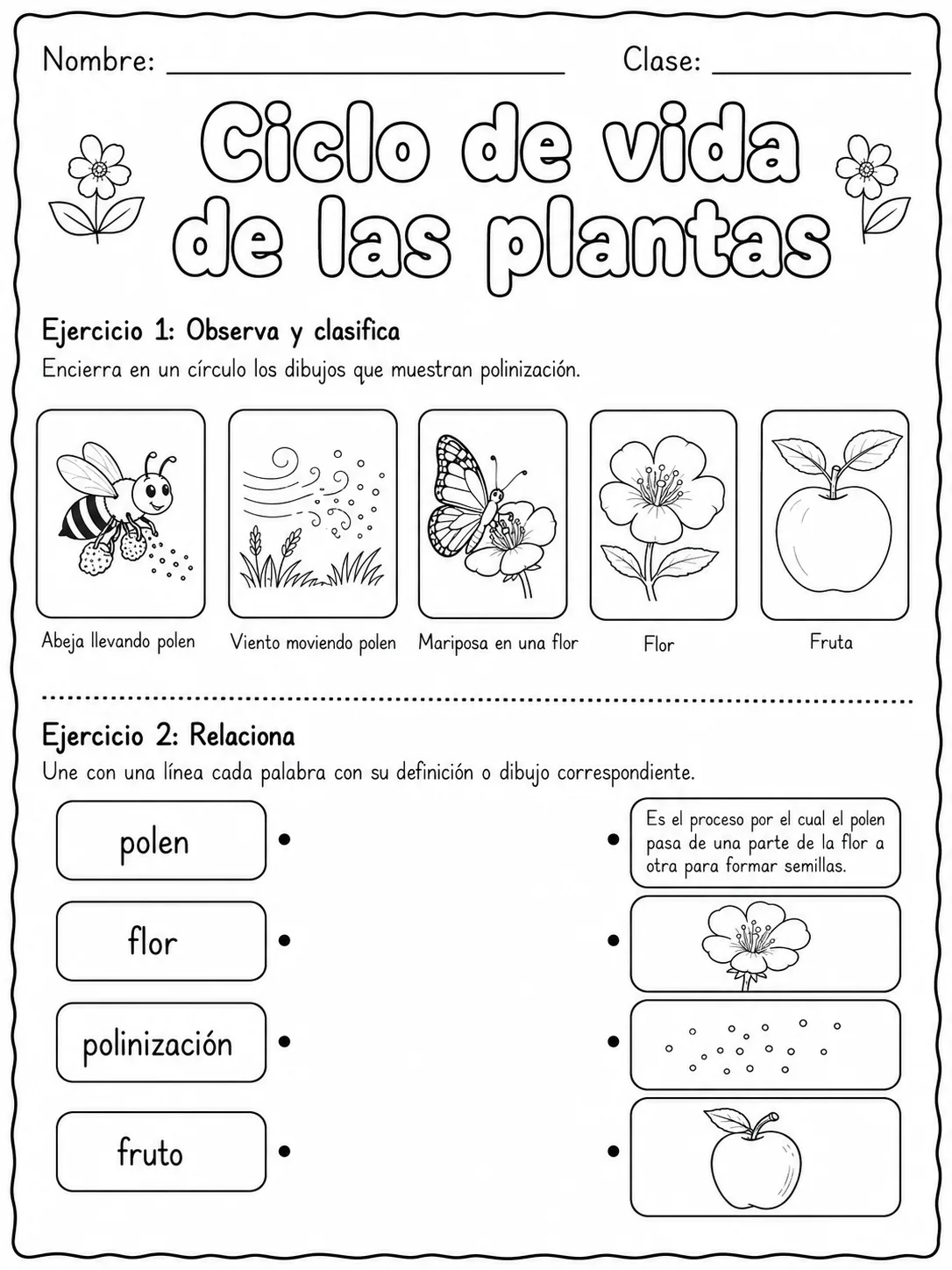 5.º grado - plantas - Paquete de fichas página 3 vista previa imprimible