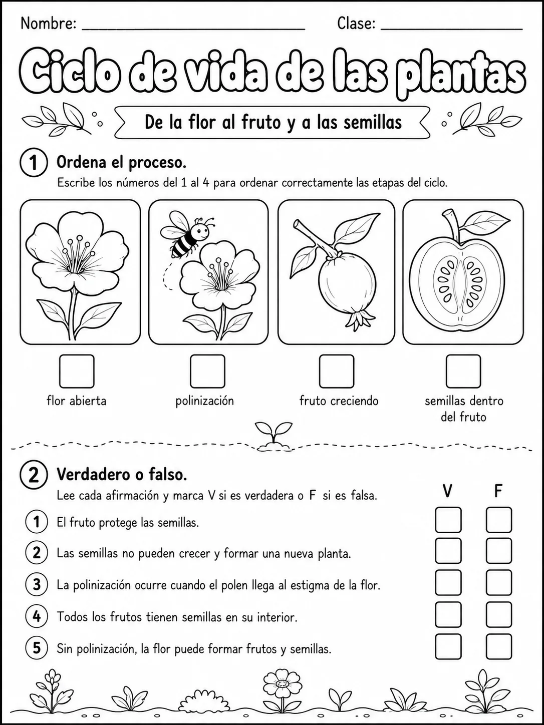 5.º grado - plantas - Paquete de fichas página 4 vista previa imprimible