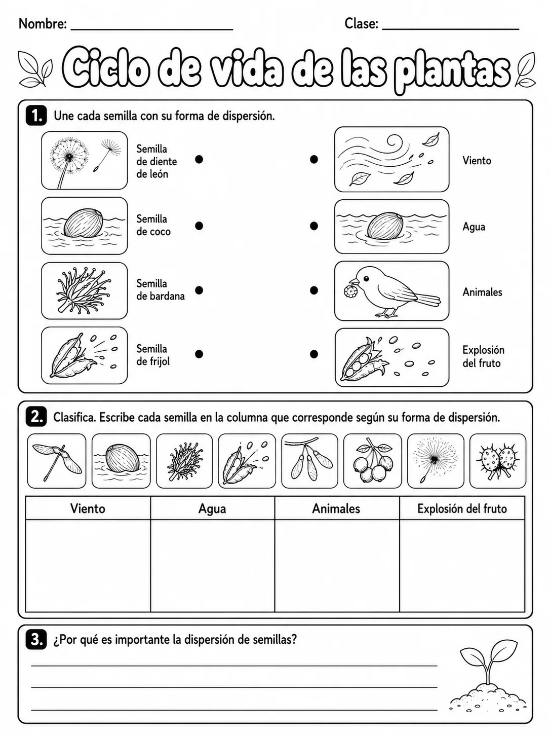 5.º grado - plantas - Paquete de fichas página 5 vista previa imprimible