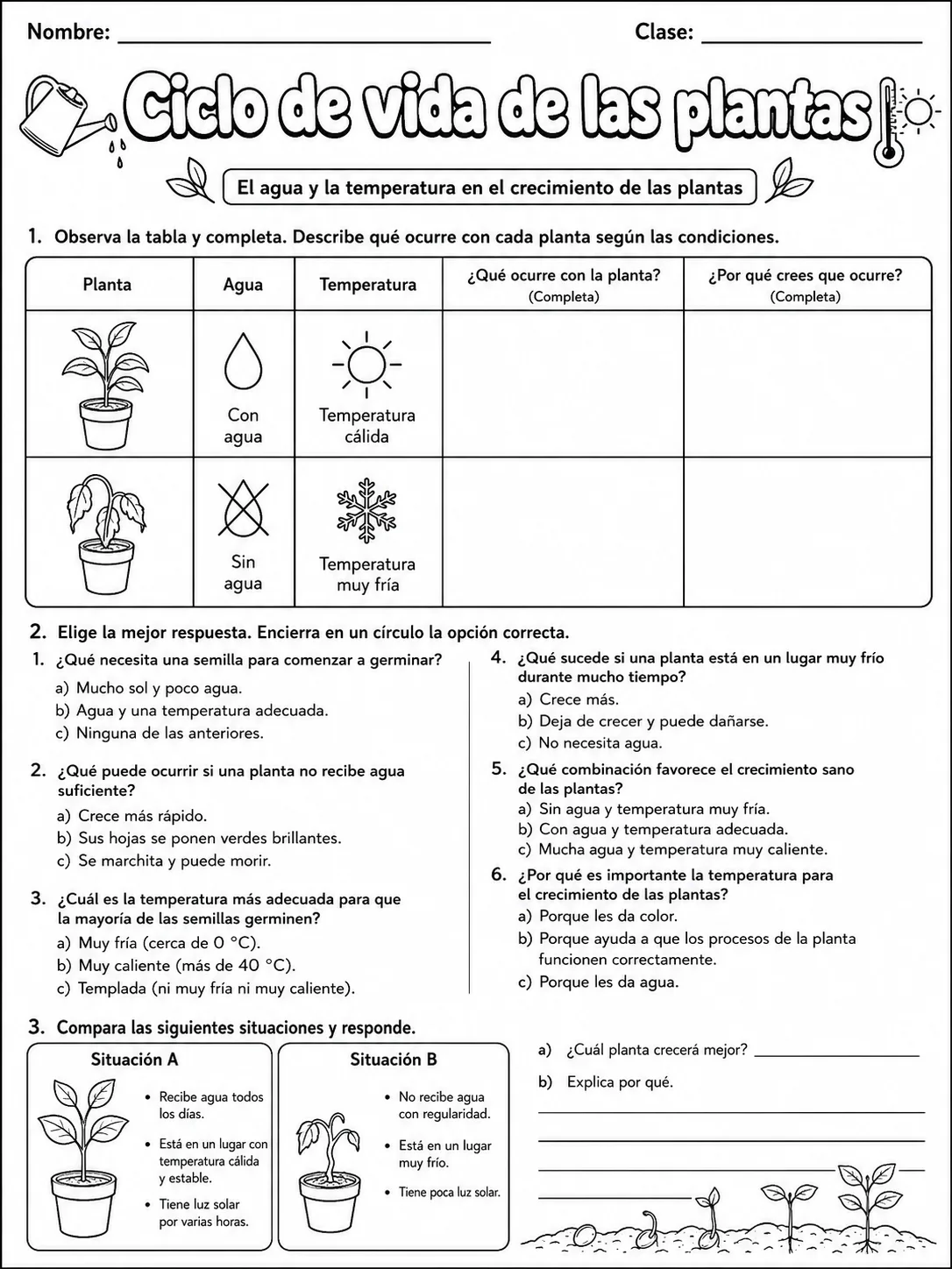 5.º grado - plantas - Paquete de fichas página 6 vista previa imprimible