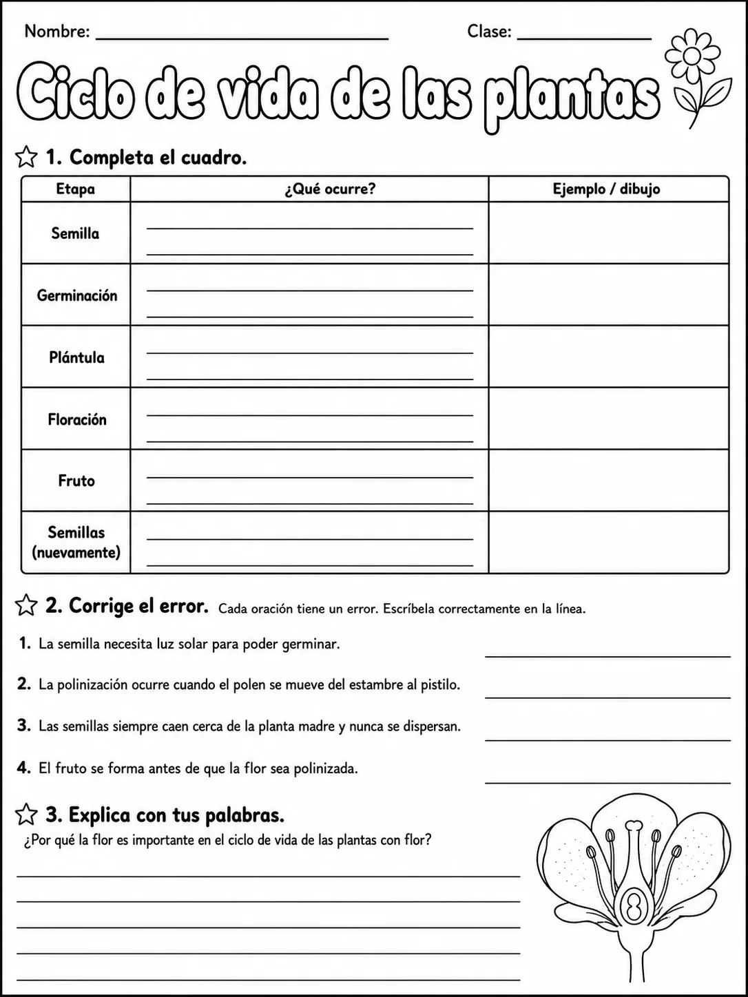 5.º grado - plantas - Paquete de fichas página 7 vista previa imprimible