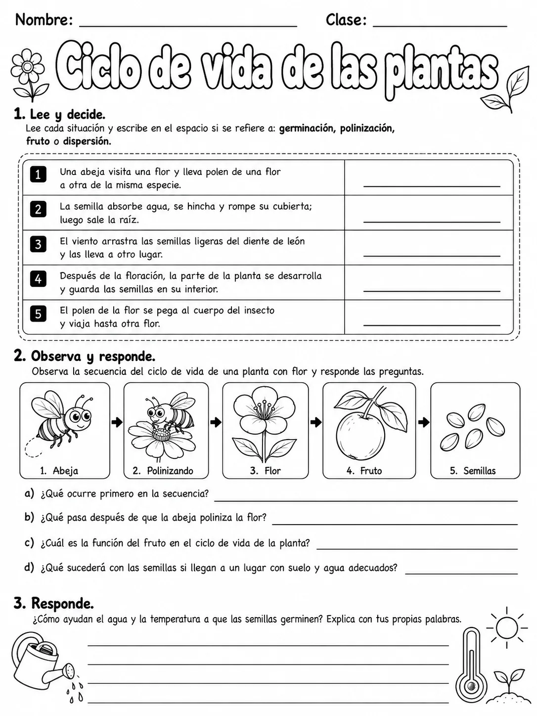 5.º grado - plantas - Paquete de fichas página 8 vista previa imprimible