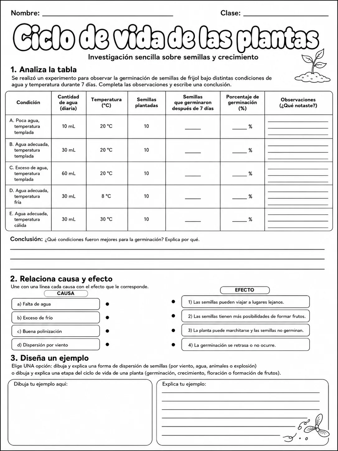 5.º grado - plantas - Paquete de fichas página 9 vista previa imprimible