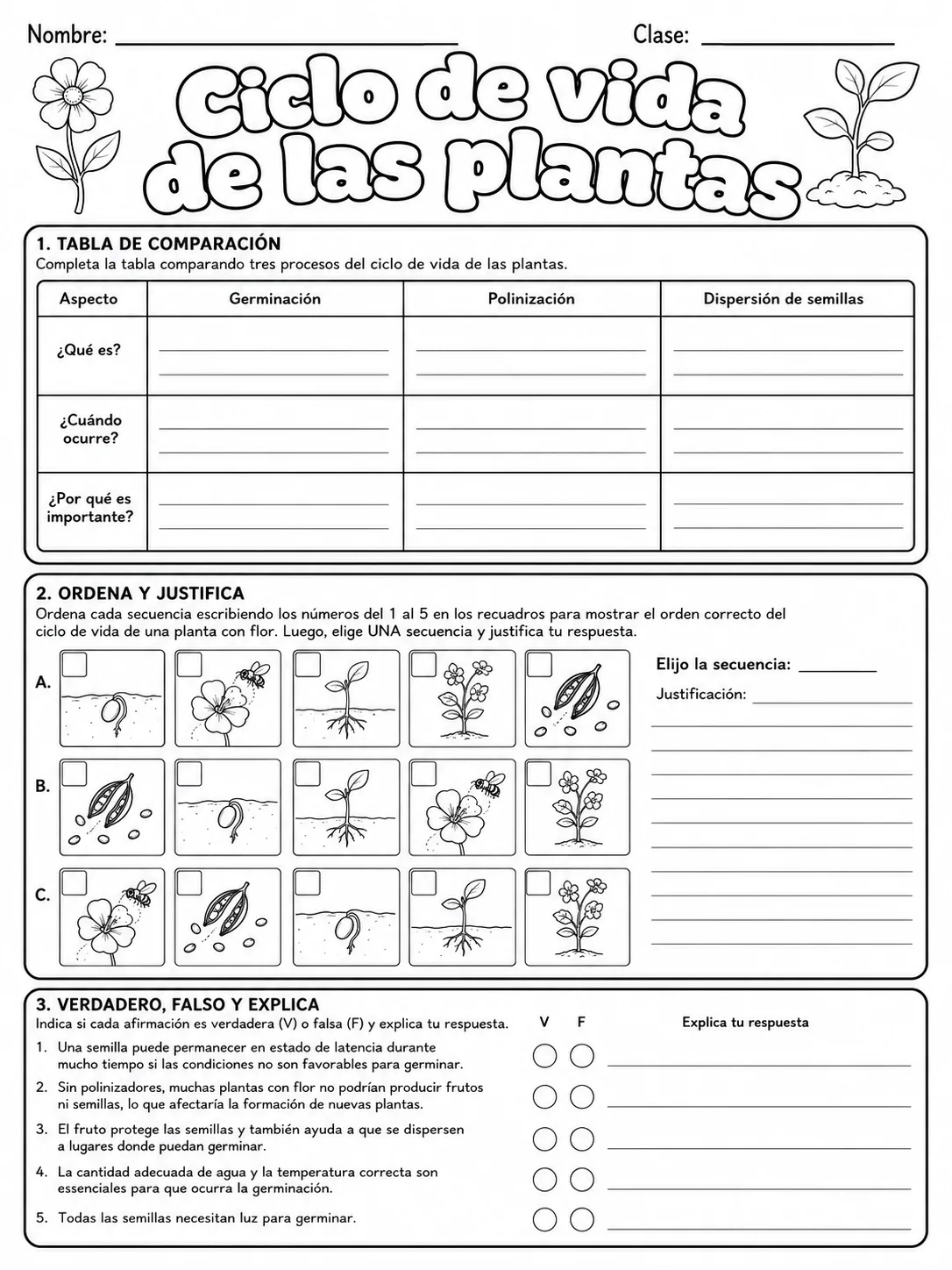 5.º grado - plantas - Paquete de fichas página 10 vista previa imprimible