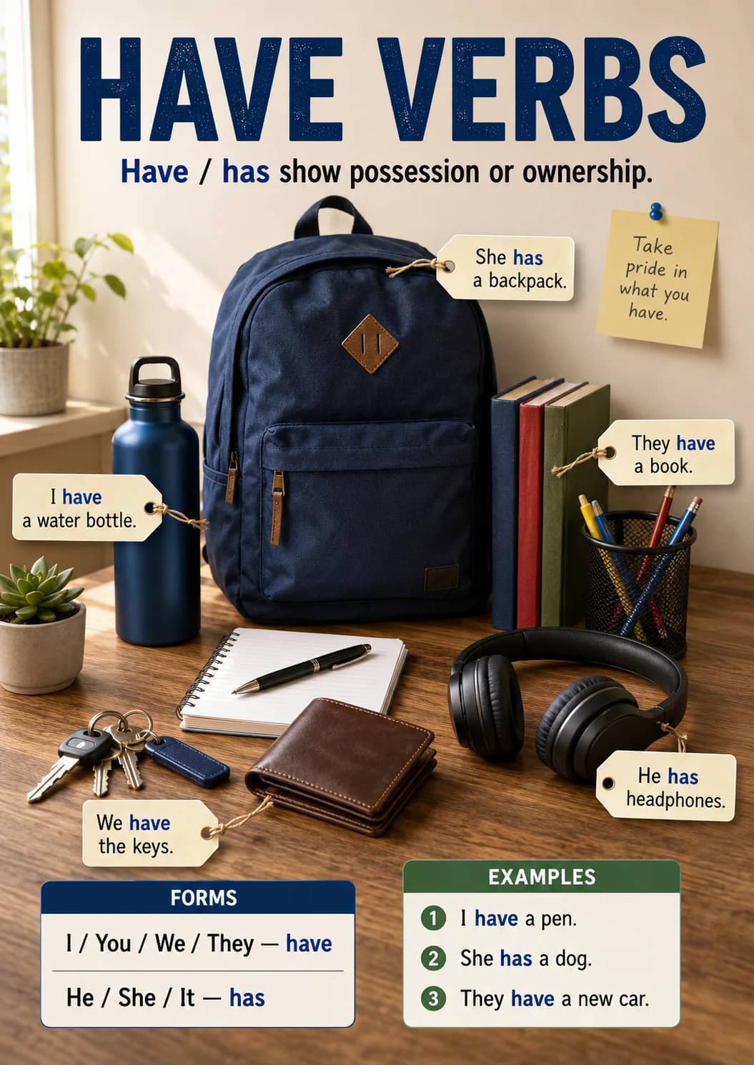 Have Verbs infographic poster showing Have / has show possession or ownership., FORMS, I / You / We / They — have, He / She / It — has and...