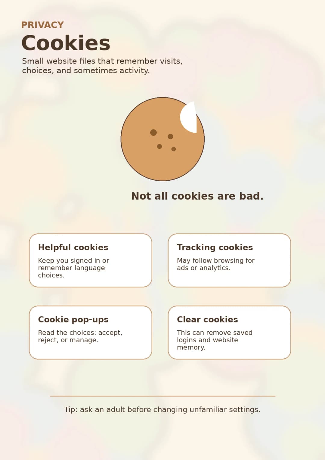 Privacy infographic poster with clear labels for Privacy.