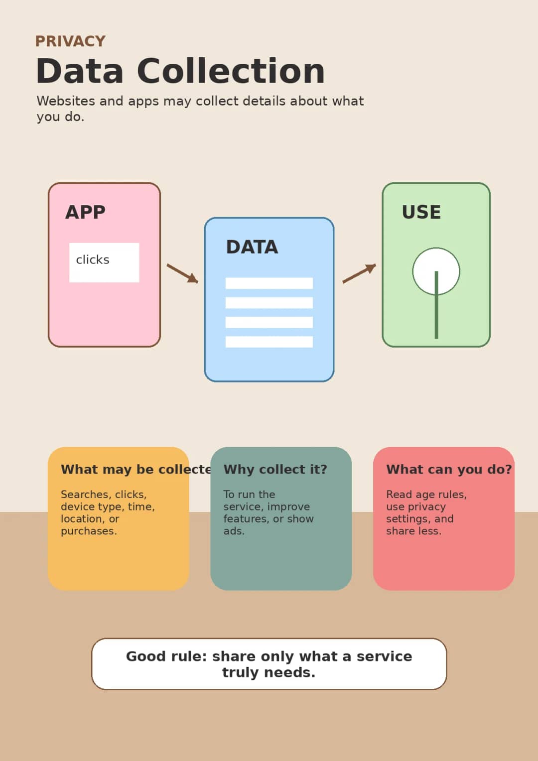 Privacy settings infographic poster showing Data Collection, Websites and apps may collect details about what you do., What may be...