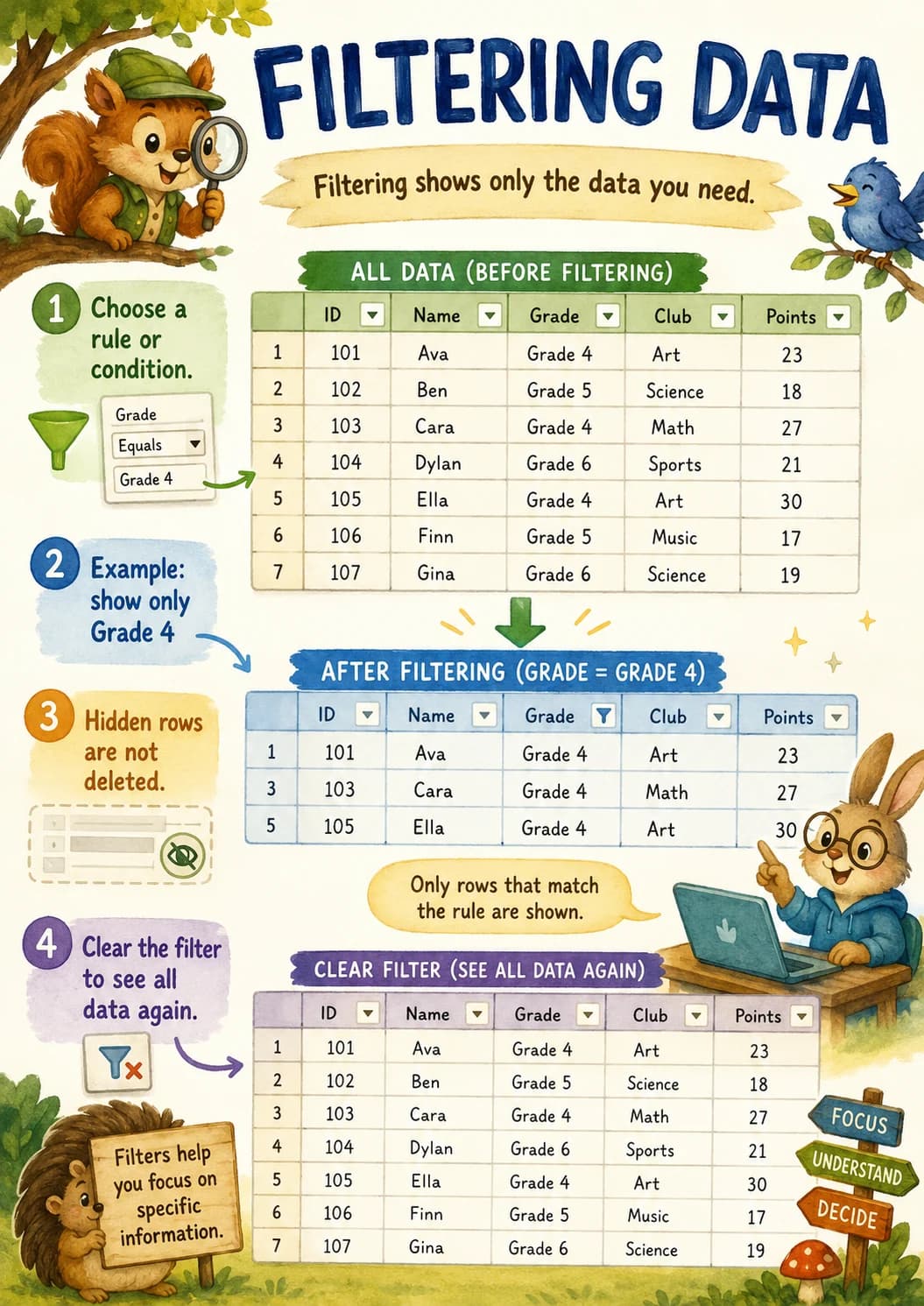 Filtering Data Spreadsheets and Data Infographic
