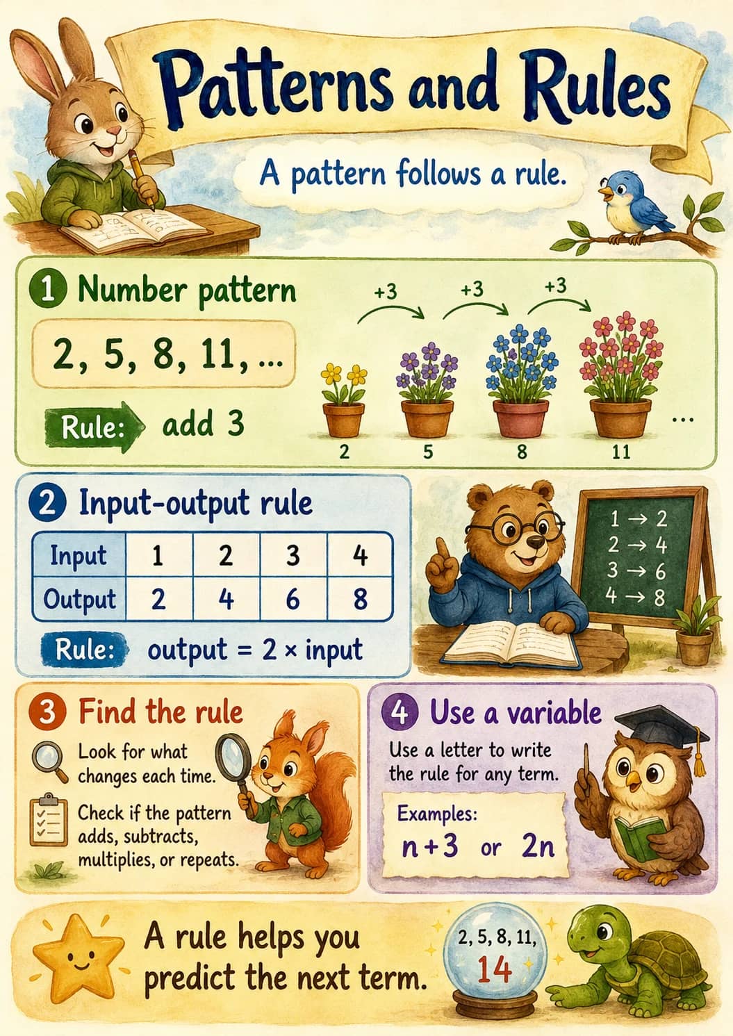 Patterns and Rules infographic poster showing A pattern follows a rule., 1 Number pattern, 2, 5, 8, 11, ..., Rule: and add 3 for Algebra.