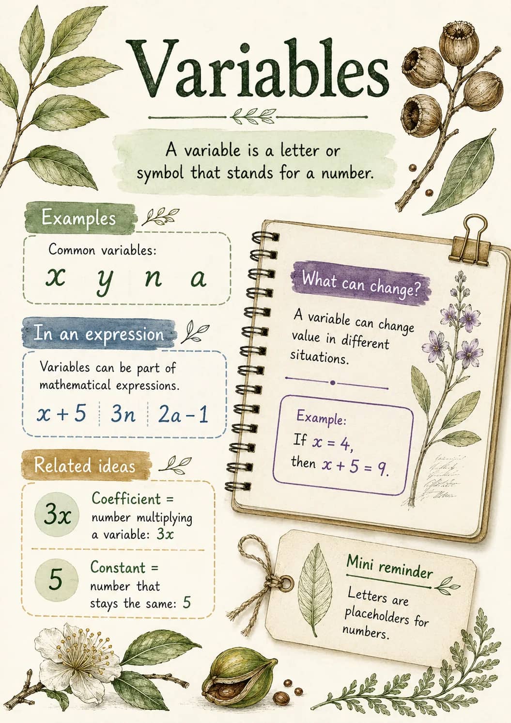 Variables infographic poster showing A variable is a letter or symbol that stands for a number., Examples, Common variables:, x y n a and...