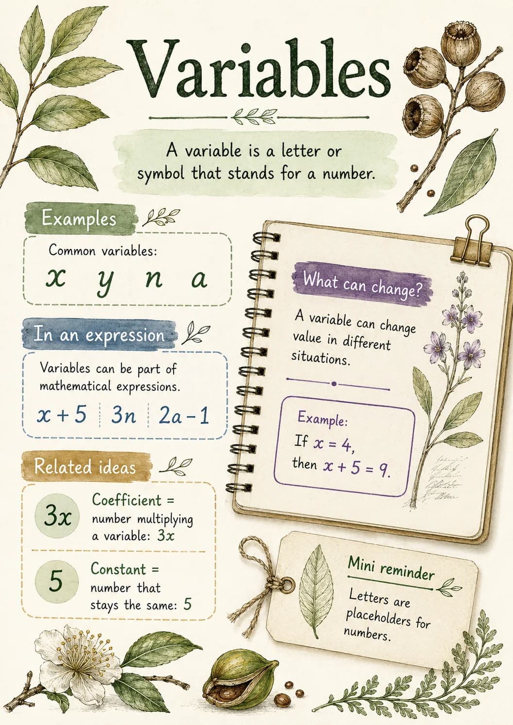 Variables infographic poster with clear labels for Algebra.