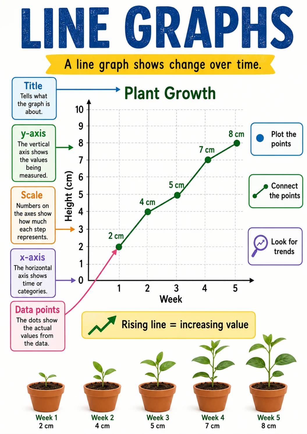 Line Graphs infographic poster showing A line graph shows change over time., Plant Growth, Title, Tells what the graph is about. and...