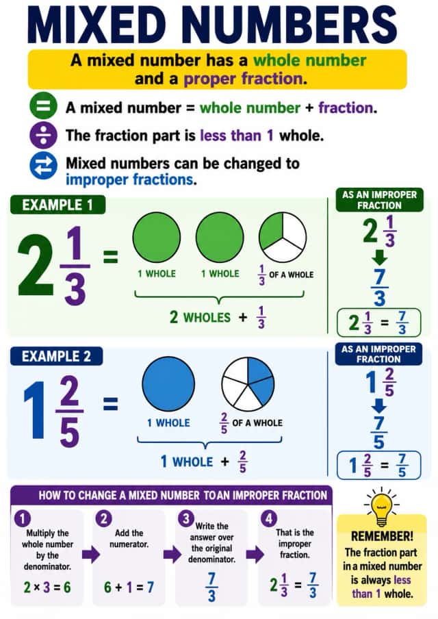 Mixed Numbers Fractions Infographic
