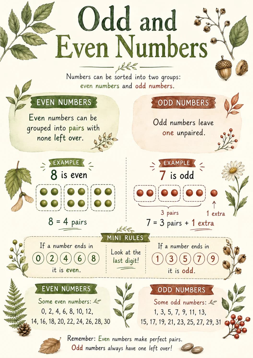 Odd and Even Numbers infographic poster with clear labels for Number Sense.