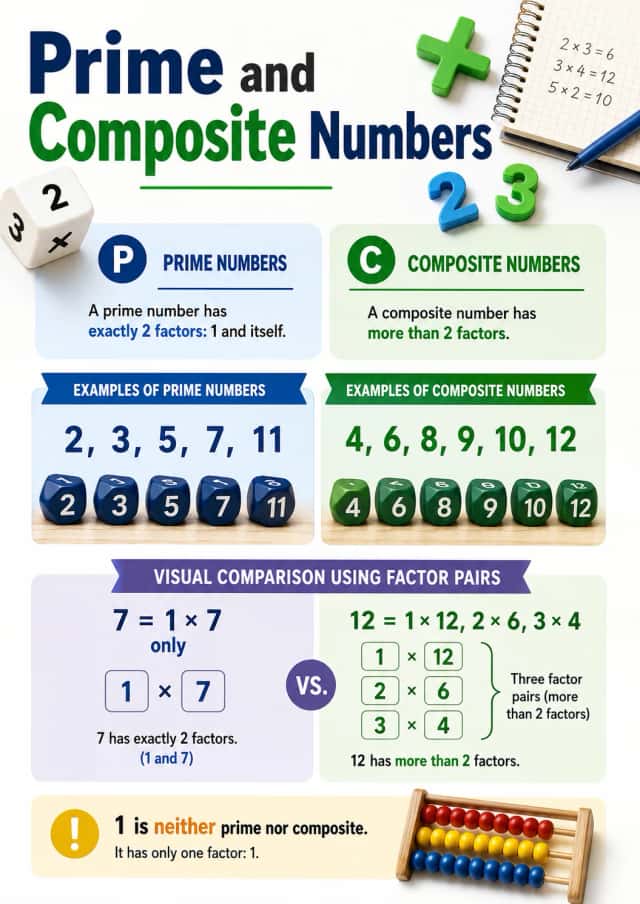 Prime and Composite Numbers Number Sense Infographic