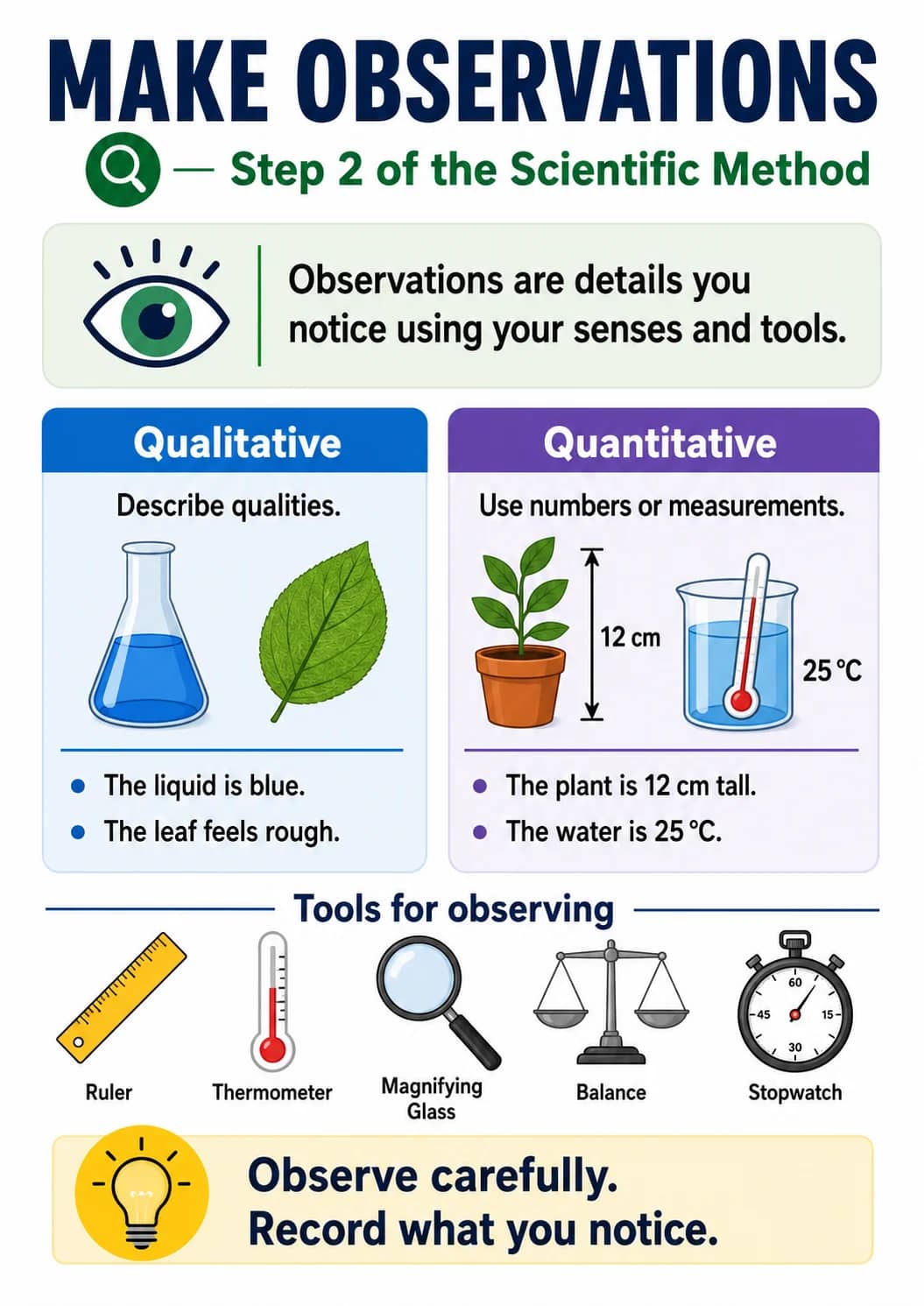 Make Observations infographic poster showing Q — Step 2 of the Scientific Method, Observations are details you notice using your senses...